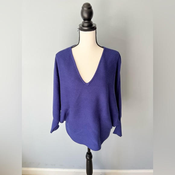NWT V neck sweater